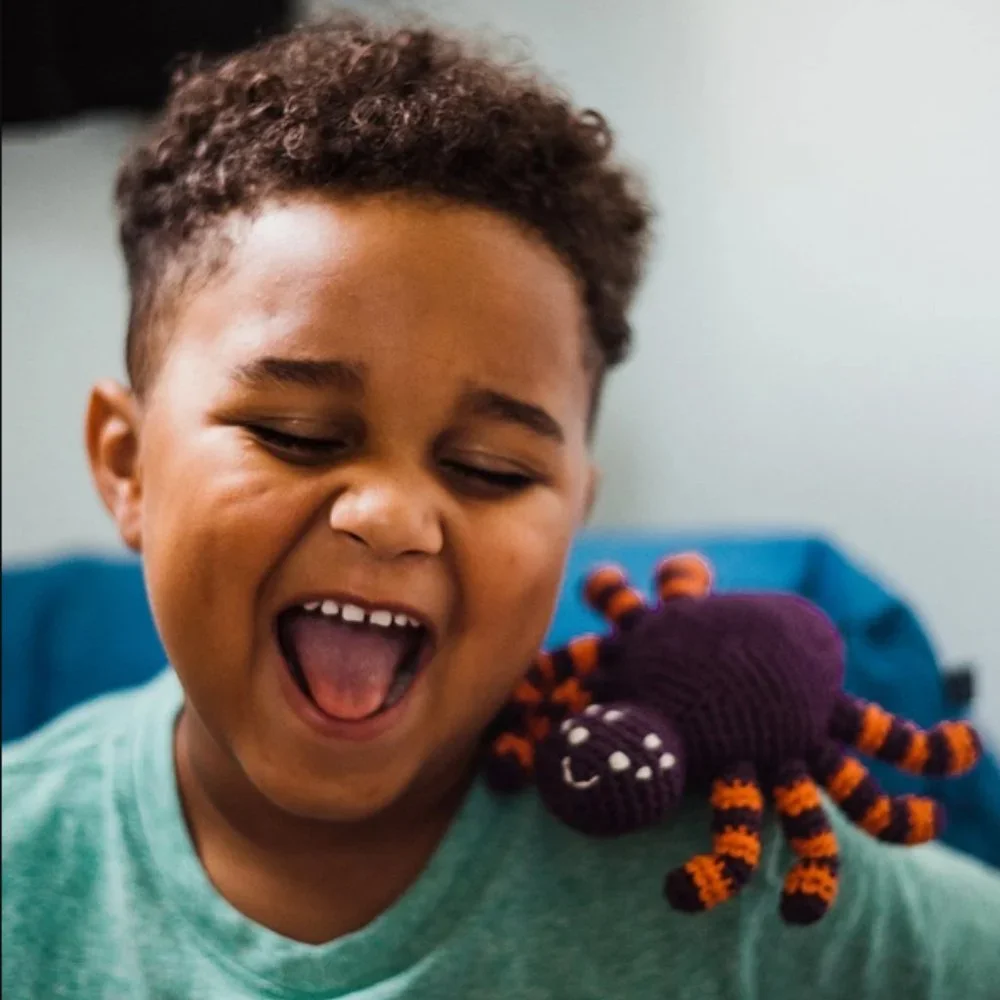 Spider Rattle Plushie - Picture 3 of 6